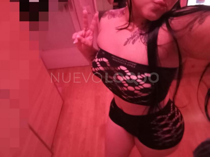 NuevoLoquo3