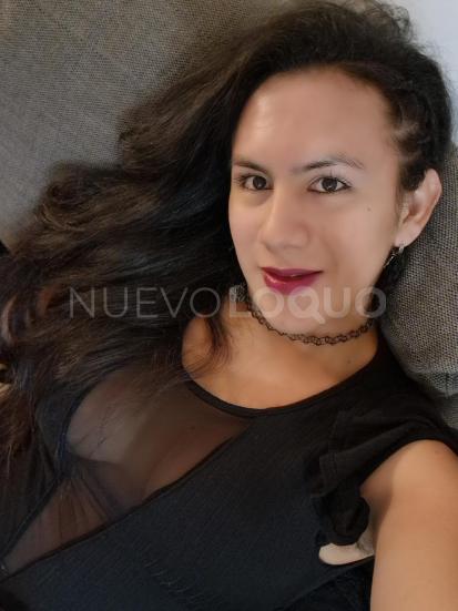  TRANS EXPERTA EN