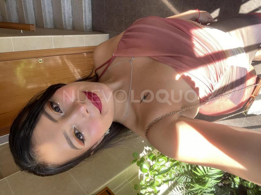 NuevoLoquo2