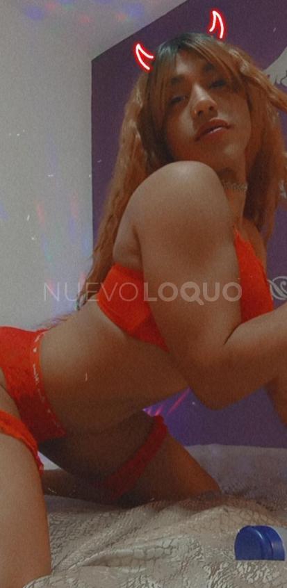 NuevoLoquo3