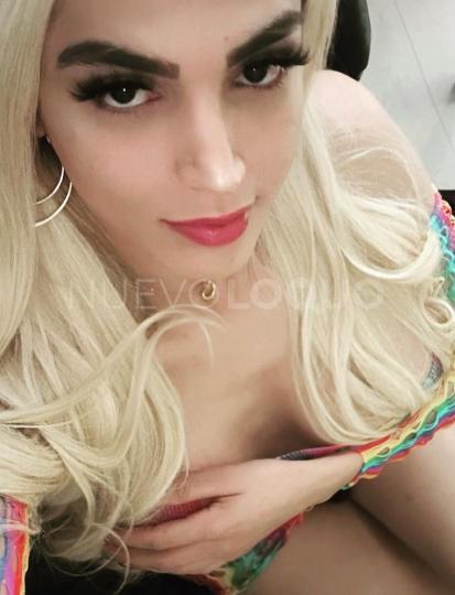 NuevoLoquo4