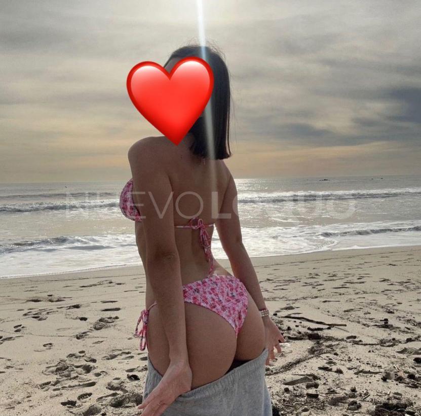 NuevoLoquo2
