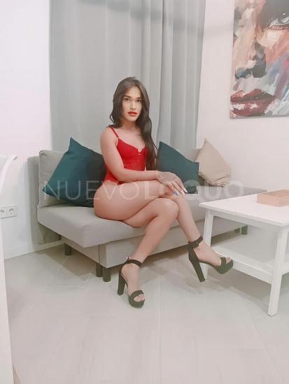 NuevoLoquo2