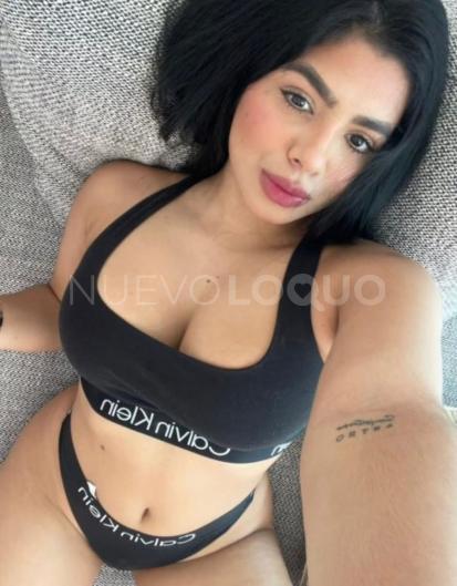 NuevoLoquo3