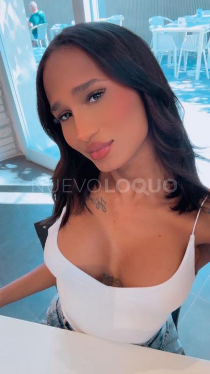 NuevoLoquo3