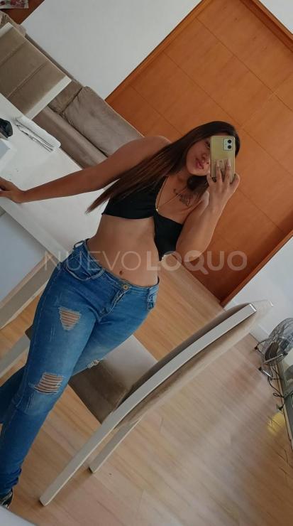 NuevoLoquo4