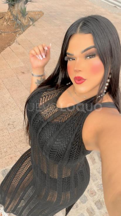 NuevoLoquo3