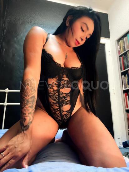 NuevoLoquo3