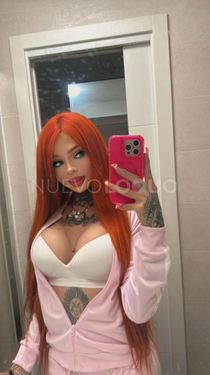 NuevoLoquo3