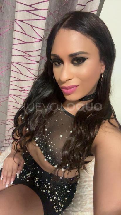 NuevoLoquo3