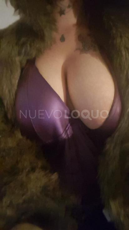 NuevoLoquo2