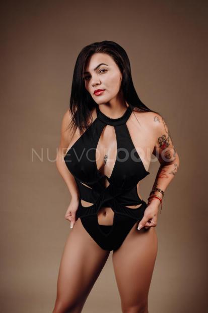 NuevoLoquo2
