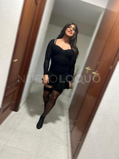 NuevoLoquo4