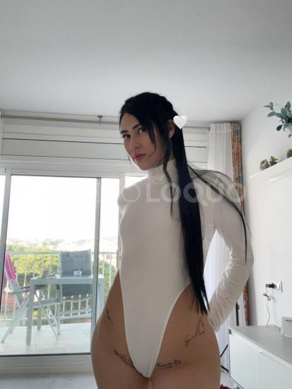 NuevoLoquo2