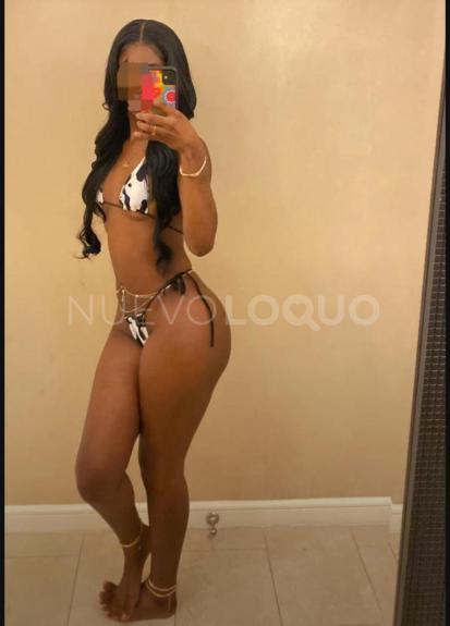 NuevoLoquo2