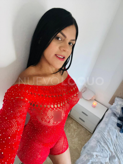 NuevoLoquo2