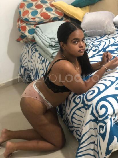 NuevoLoquo2