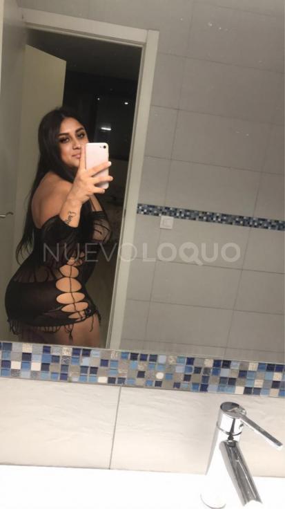 NuevoLoquo3