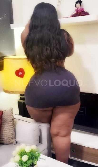 NuevoLoquo3