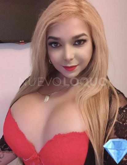 NuevoLoquo5