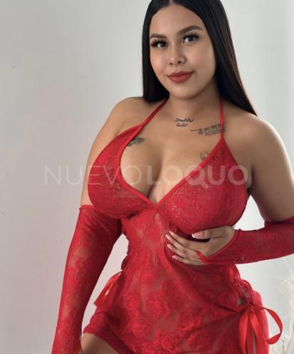 NuevoLoquo2