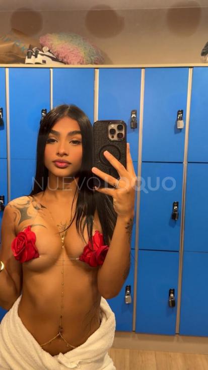 NuevoLoquo2