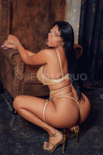 NuevoLoquo3