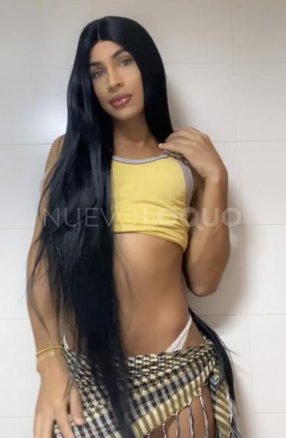 NuevoLoquo2