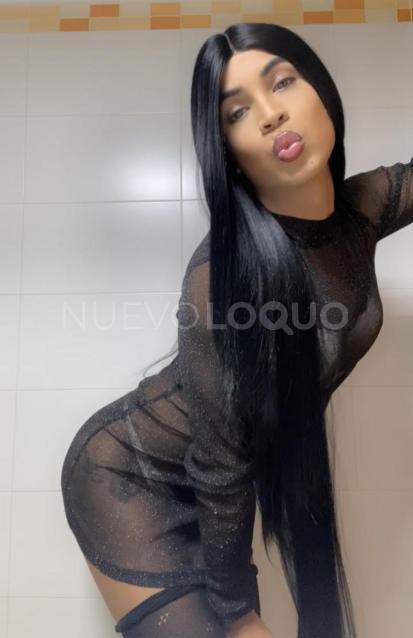 NuevoLoquo3