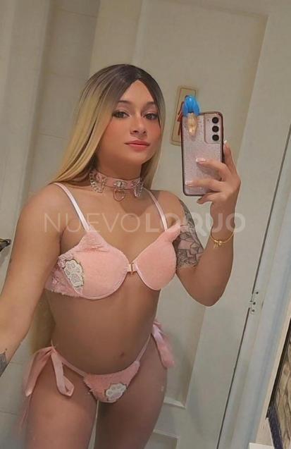 NuevoLoquo4