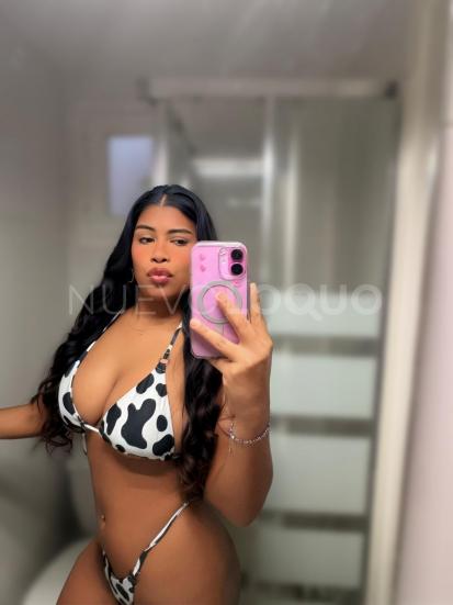 NuevoLoquo4