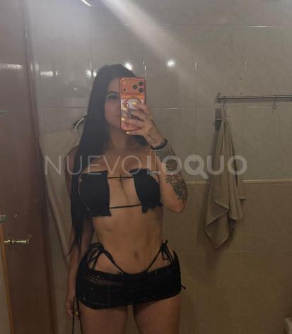 NuevoLoquo5
