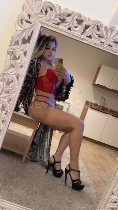NuevoLoquo4