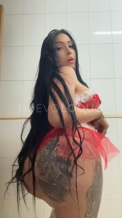 NuevoLoquo2