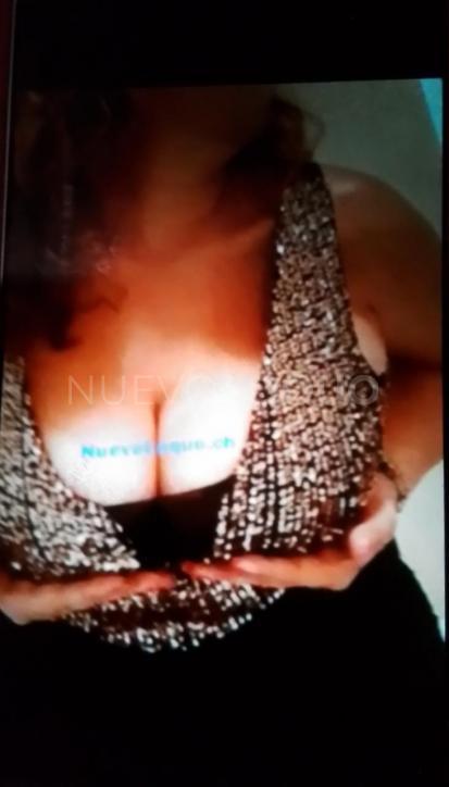  Lolyta italoargentina