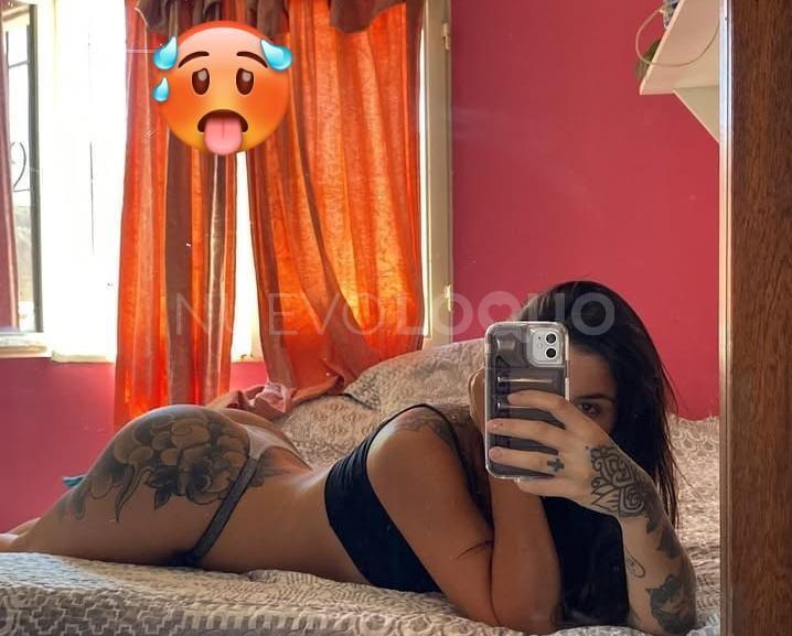 NuevoLoquo3