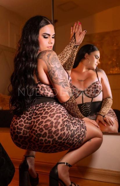 NuevoLoquo3