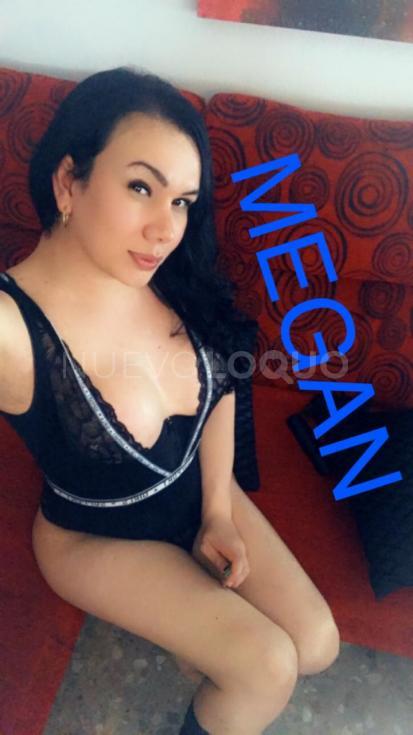 NuevoLoquo3