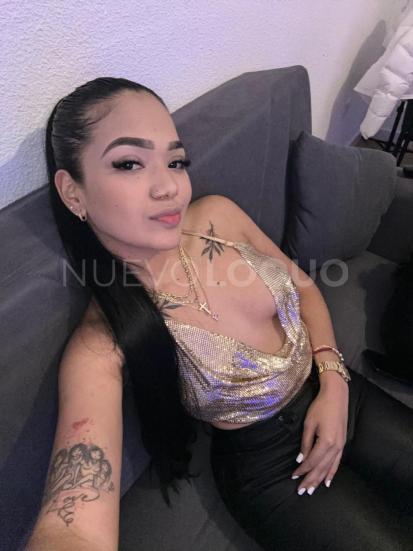 NuevoLoquo3