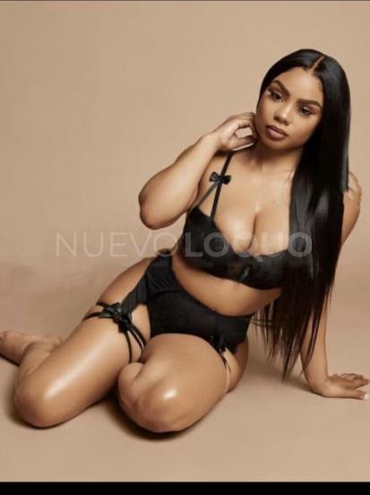 NuevoLoquo2