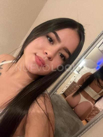 NuevoLoquo5