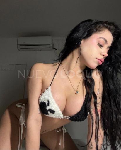 NuevoLoquo1