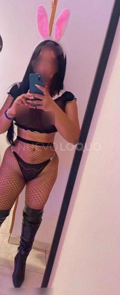 NuevoLoquo3