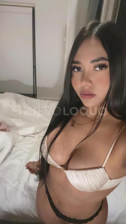 NuevoLoquo3