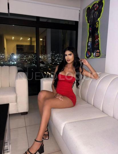NuevoLoquo4