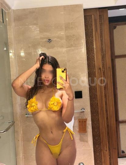 NuevoLoquo3