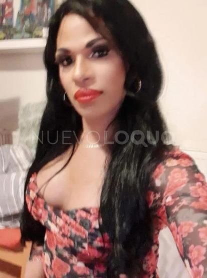 NuevoLoquo4