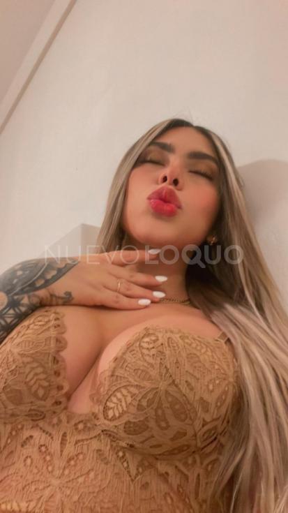 NuevoLoquo3