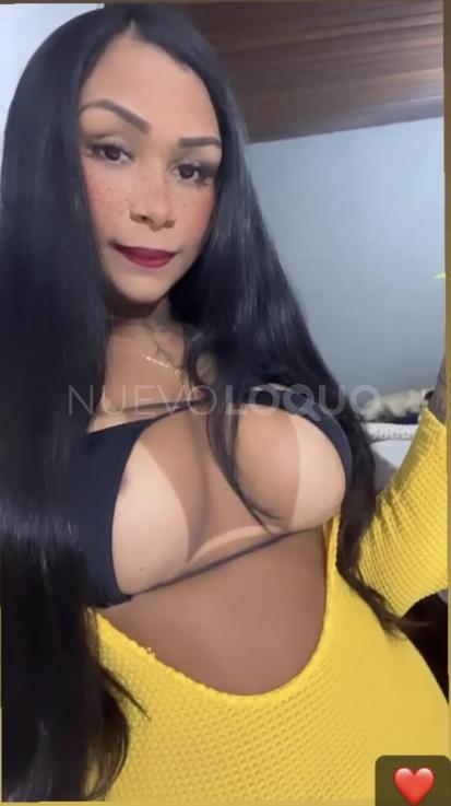 NuevoLoquo0