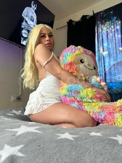 NuevoLoquo4